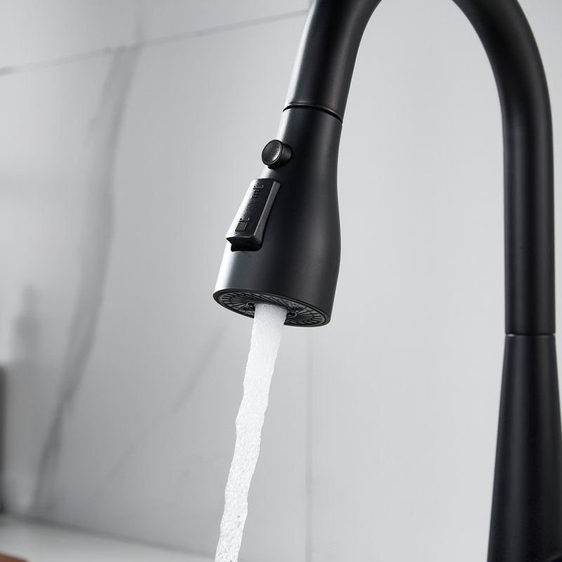 Смеситель для кухни с выдвижным изливом Shevanik S363H, черный