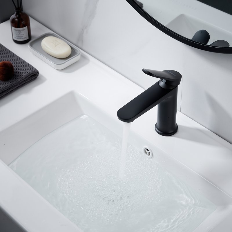 Смеситель для раковины Shevanik S4301H, черный