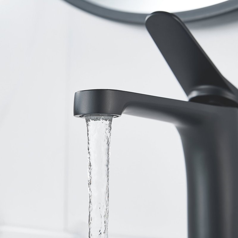 Смеситель для раковины Shevanik S6201H, черный