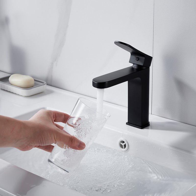 Смеситель для раковины Shevanik S4501H, черный