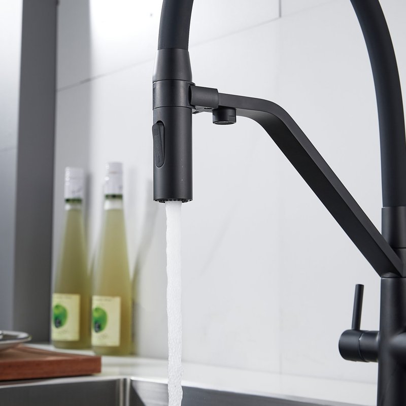 Смеситель для кухни с гибким изливом и подключением фильтра Shevanik S278H, черный