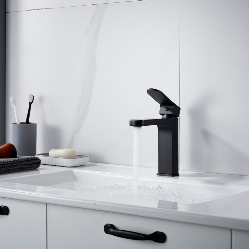 Смеситель для раковины Shevanik S4501H, черный