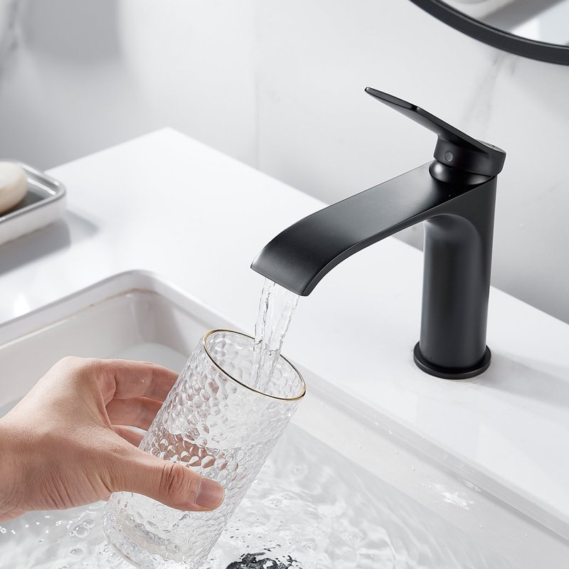 Смеситель для раковины Shevanik S4101H, черный