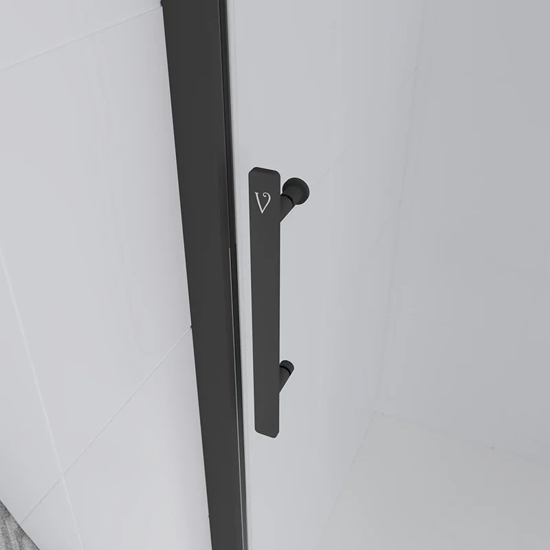 Душевая дверь Veconi Evo 100 B, 1200x1950, черный матовый, стекло тонированное матовое