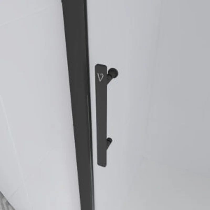 Душевая дверь Veconi Evo 100 B, 1400x1950, черный матовый, стекло прозрачное