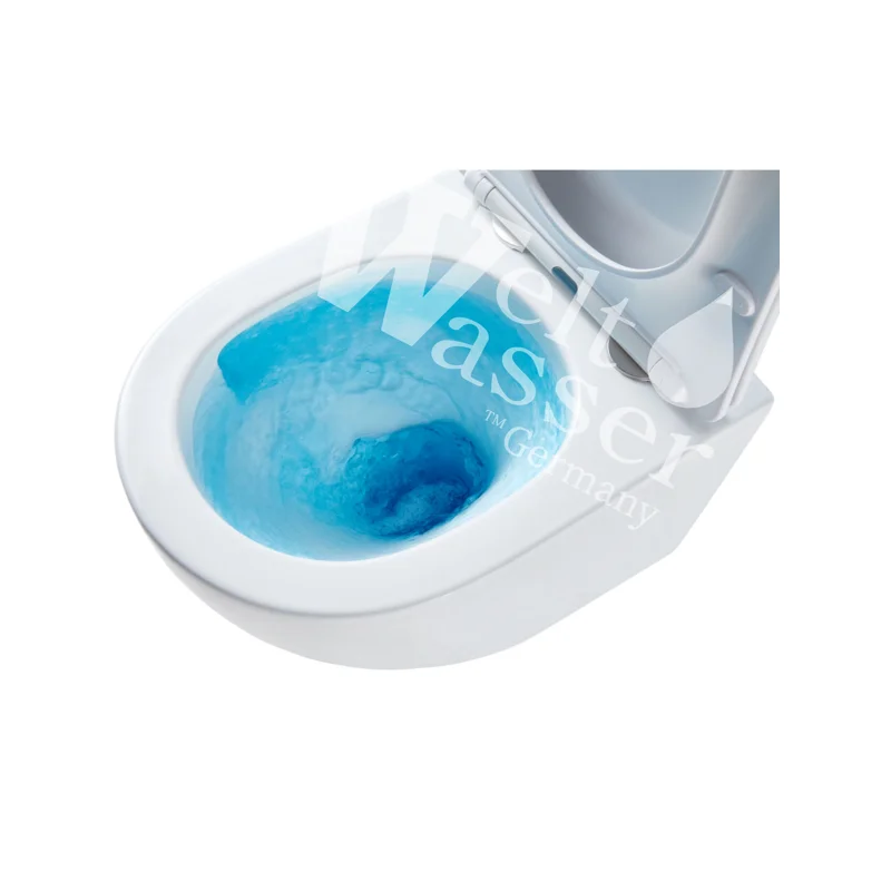 Унитаз подвесной Weltwasser WW SK Salzbach 043 GL-WT 10000010281