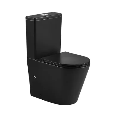 Унитаз компакт WeltWasser Salzbach 001 GL-BL 1000001...