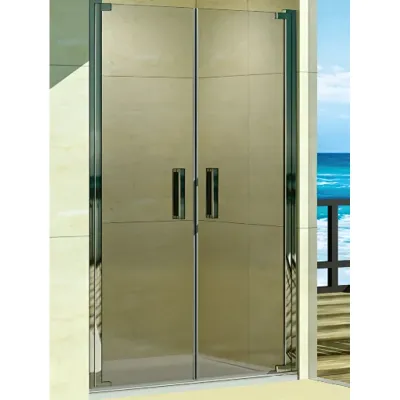 Душевая дверь в нишу WeltWasser WW600 K2 100 1000000...