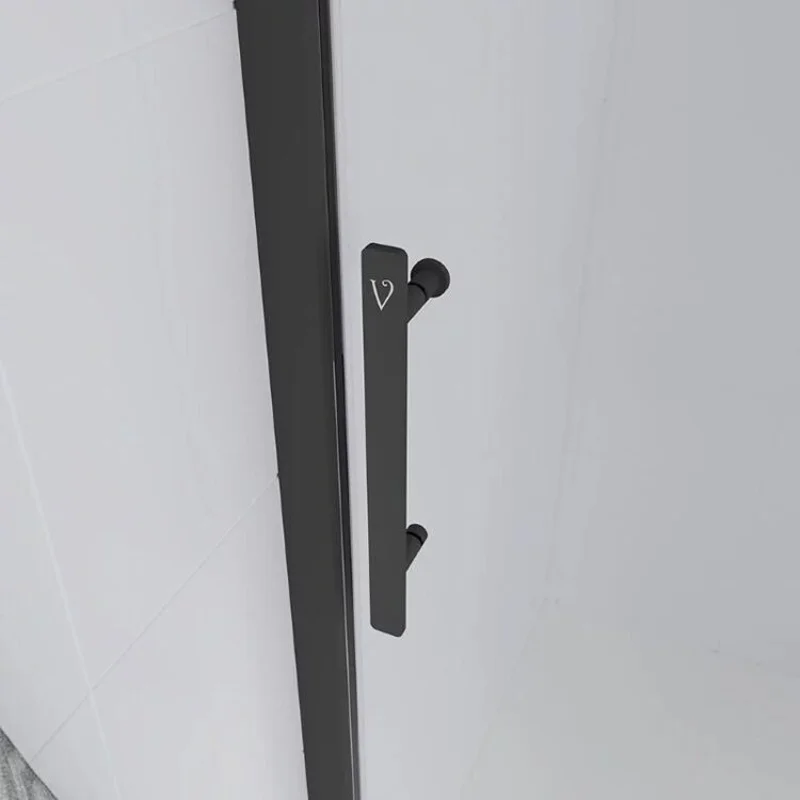 Душевая дверь Veconi Evo 100 B, 1000x1950, черный матовый, стекло прозрачное