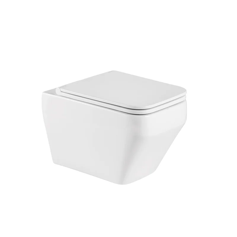 Унитаз WeltWasser Hofbach 041 GL-WT 10000011134 подвесной с сиденьем Микролифт Унитаз WeltWasser Hofbach 041 GL-WT 10000011134 подвесной с сиденьем Микролифт