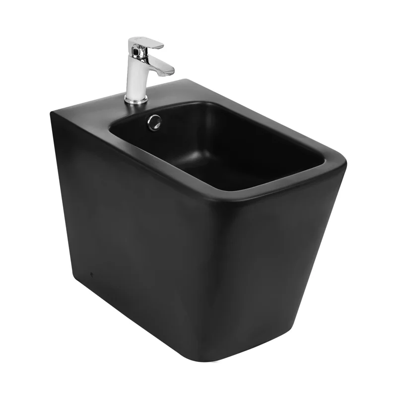 Биде WeltWasser Gelbach 003 MT-BL 10000003746 Черное матовое