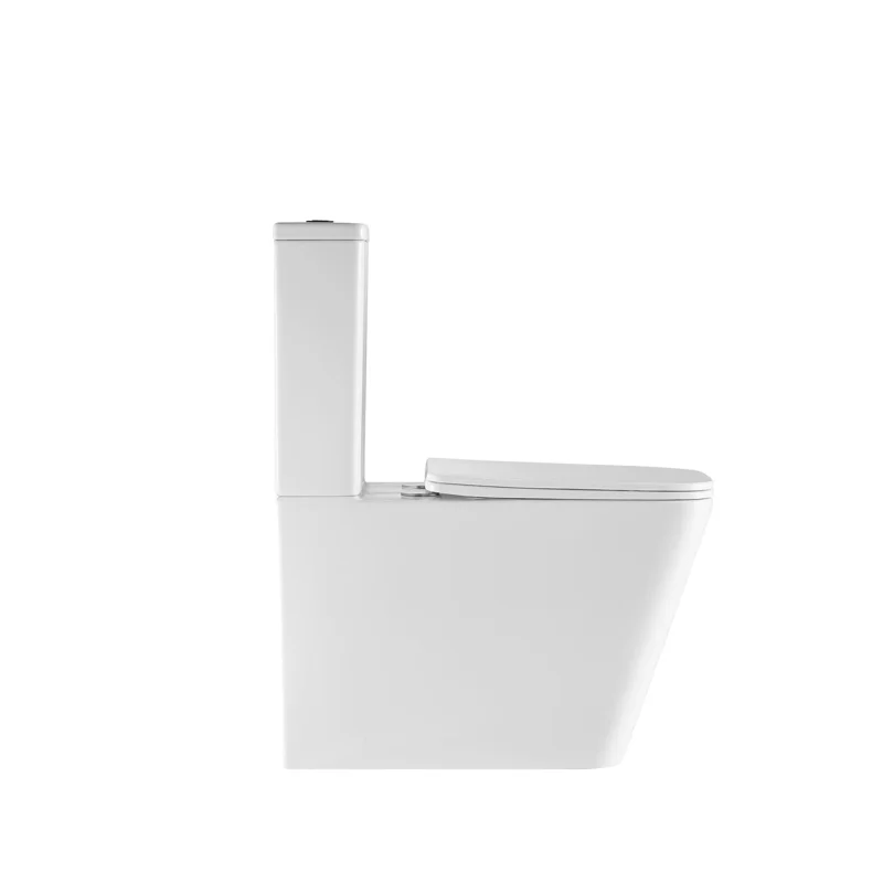 Унитаз-компакт напольный Weltwasser WW SK Gelbach 011 ST GL-WT 10000012125