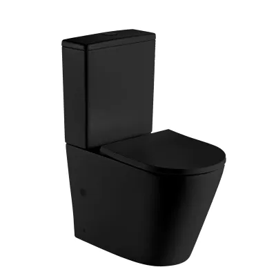 Унитаз компакт WeltWasser Salzbach 001 MT-BL 1000000...