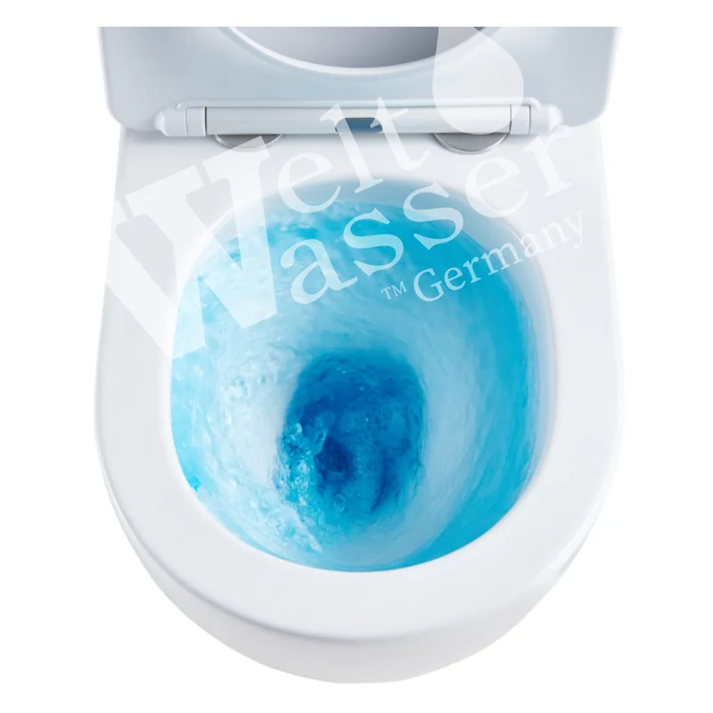 Унитаз WeltWasser Heimbach 043 GL-WT 10000011192 подвесной Белый глянец с сиденьем Микролифт