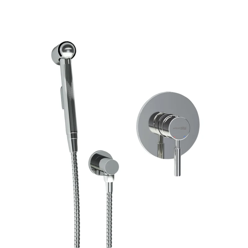 Гигиенический душ со смесителем WasserKRAFT Main A14156 Хром