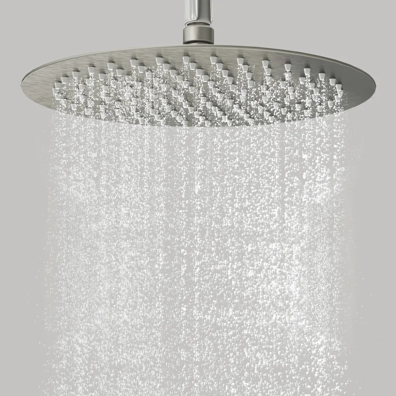 Верхний душ WasserKRAFT A121, D248 мм, 1 режим струи, без держателя, матовый хром