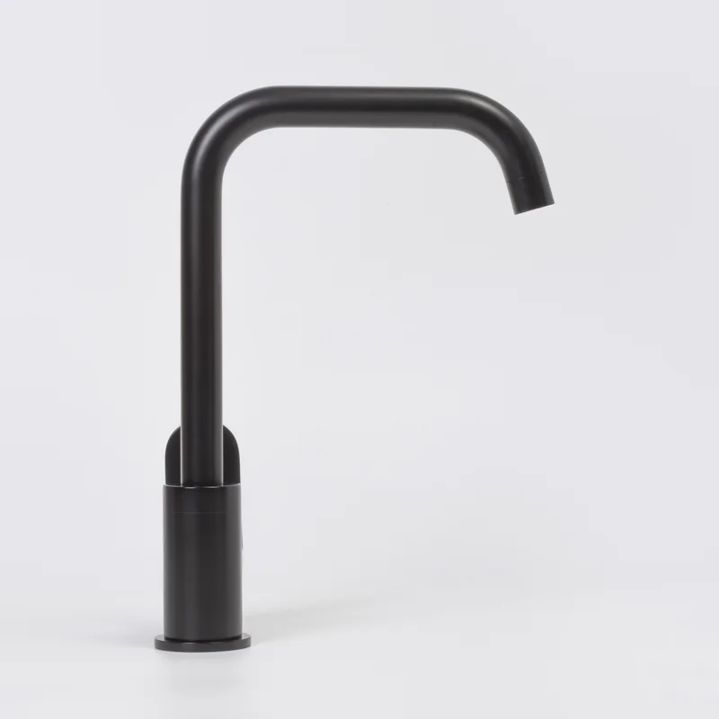 Смеситель для кухни WasserKRAFT Elbе 7407 Черный матовый