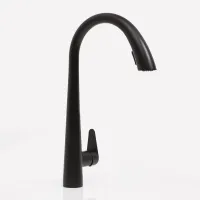 Смеситель для кухни WasserKRAFT A8667 Черный