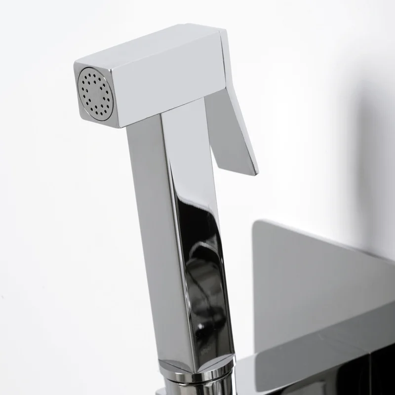 Гигиенический душ со смесителем WasserKRAFT Aller 10638 Хром