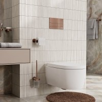 Инсталляция для унитаза WasserKraft Aller 10 10TLT.010.ME.RG04, клавиша розовое золото