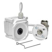Шаровой электропривод Gidrolock Ultimate, 11091041, кран Ultimate 12V Enolgas 1/2 дюйма BS
