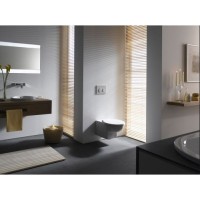 Клавиша смыва Geberit Omega 20, 115.085.KM.1, механическая, черный/глянцевый хром