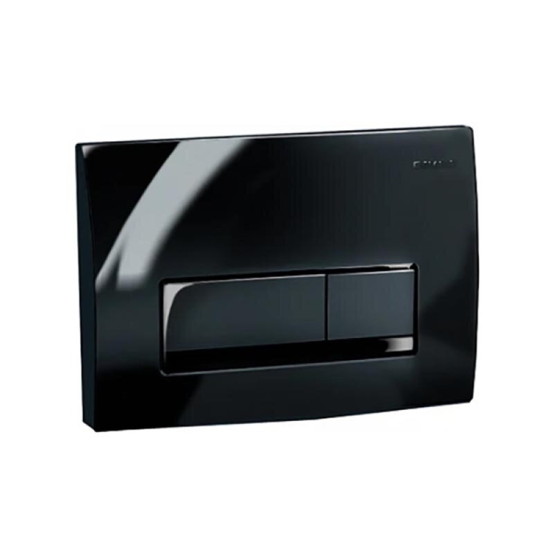 Клавиша смыва Geberit Delta 50, 115.119.DW.1, механическая, черный глянцевый RAL 9005
