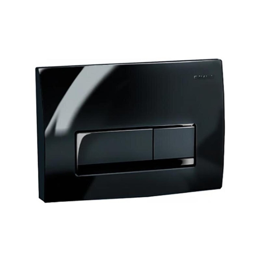 Клавиша смыва Geberit Delta 50, 115.119.DW.1, механическая, черный глянцевый RAL 9005