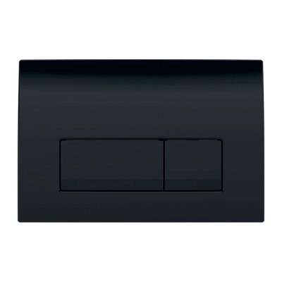 Клавиша смыва Geberit Delta 50, 115.119.DW.1, механическая, черный глянцевый RAL 9005