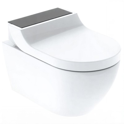 Электронный унитаз Geberit AquaClean Tuma Comfort 146.294.SJ.1 с крышкой-биде, панель черное стекло