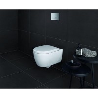 Подвесной безободковый унитаз Geberit iCon 204060000/574130000, крышка микролифт