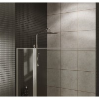 Душевая дверь Allen Brau Priority 100, 100 х 200 см, стекло прозрачное, профиль брашированный алюминий, 3.31005.BA