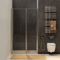 Душевая дверь Allen Brau Priority 100, 100 х 200 см, стекло прозрачное, профиль брашированный алюминий, 3.31005.BA