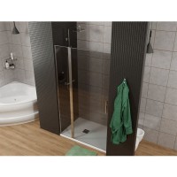 Душевая дверь Allen Brau Priority, 3.31007.00G, 120 см, стекло тонированное, профиль хром