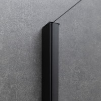 Душевая дверь Allen Brau Priority 120, 120 х 200 см, стекло прозрачное, профиль черный брашированный алюминий, 3.31009.BBA