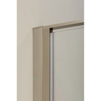 Душевая дверь Allen Brau Priority, 3.31026.BA, 90 см, стекло прозрачное, профиль серебро брашированное