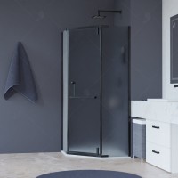 Душевой уголок RGW Hotel HO-081 B, 100 х 100 x 195 см, 350608100-24, дверь распашная, стекло сатинат/матовое, черный