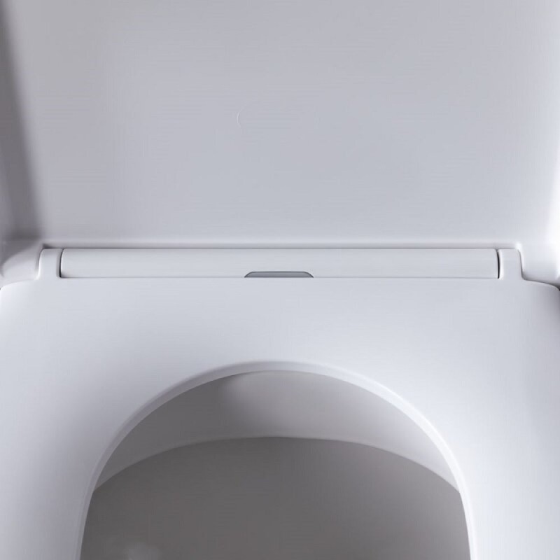 Приставной унитаз Allen Brau Infinity 4.21003.20 безободковый, белый