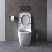 Приставной унитаз Allen Brau Infinity 4.21003.20 безободковый, белый