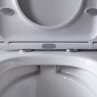 Подвесной унитаз Allen Brau Infinity 4.21004.20 безободковый, белый