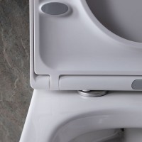 Подвесной унитаз Allen Brau Infinity 4.21004.20 безободковый, белый