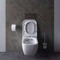 Подвесной унитаз Allen Brau Infinity 4.21004.20 безободковый, белый