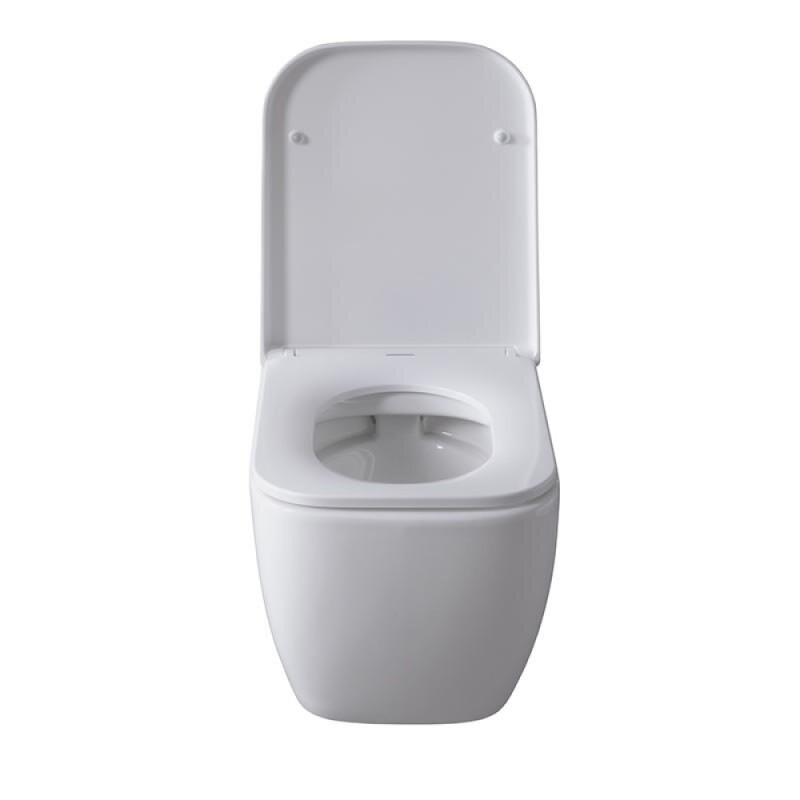 Подвесной унитаз Allen Brau Infinity 4.21004.20 безободковый, белый