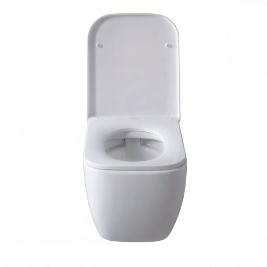 Подвесной унитаз Allen Brau Infinity 4.21004.20 безободковый, белый