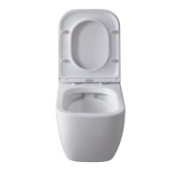 Подвесной унитаз Allen Brau Infinity 4.21004.20 безободковый, белый