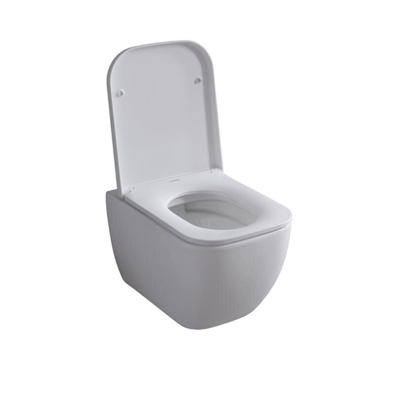 Подвесной унитаз Allen Brau Infinity 4.21004.20 безободковый, белый