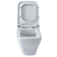 Подвесной унитаз Allen Brau Infinity 4.21011.20 53,5х34 см, безободковый, белый