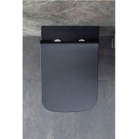 Подвесной унитаз Allen Brau Infinity 4.21011.31, безободковый, цвет черный матовый