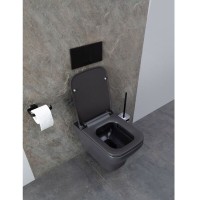 Подвесной унитаз Allen Brau Infinity 4.21011.AN, безободковый, цвет антрацит