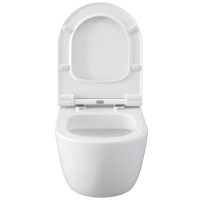 Подвесной унитаз Allen Brau Priority 36 x 54 см, безободковый, белый, 4.31001.20
